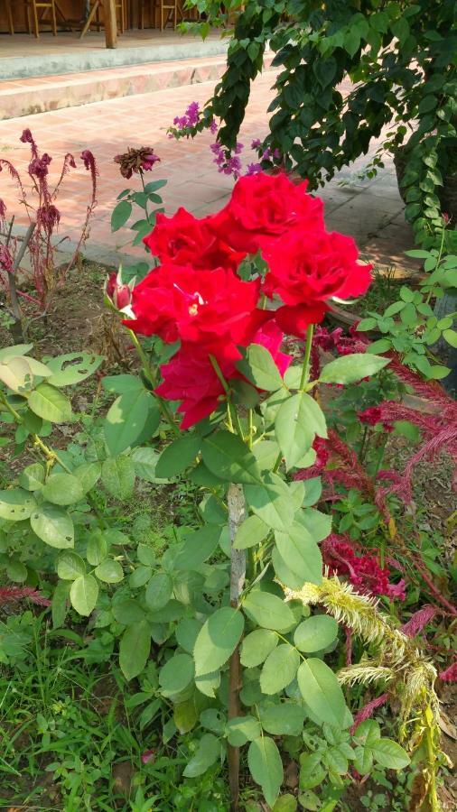 Ba Linh Homestay Vĩnh Long Εξωτερικό φωτογραφία