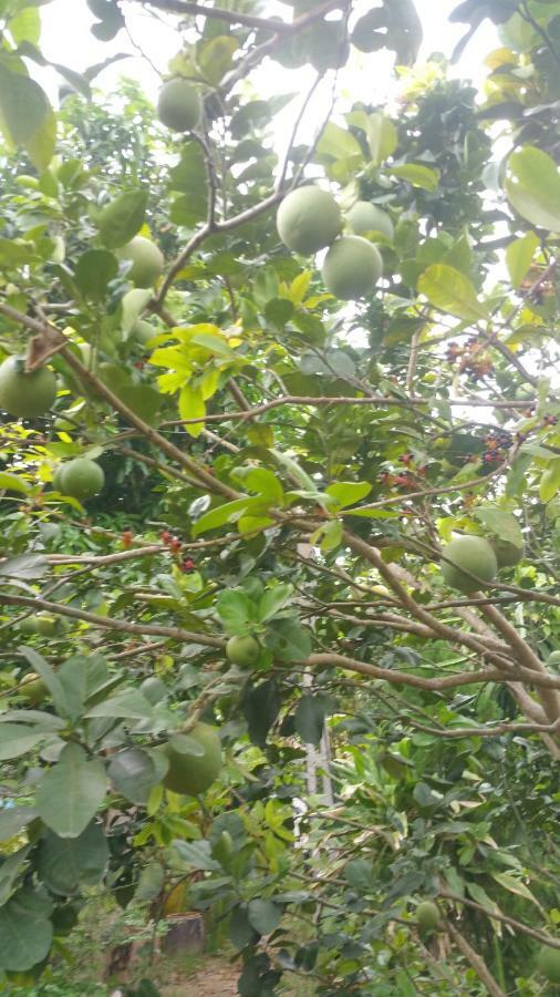 Ba Linh Homestay Vĩnh Long Εξωτερικό φωτογραφία